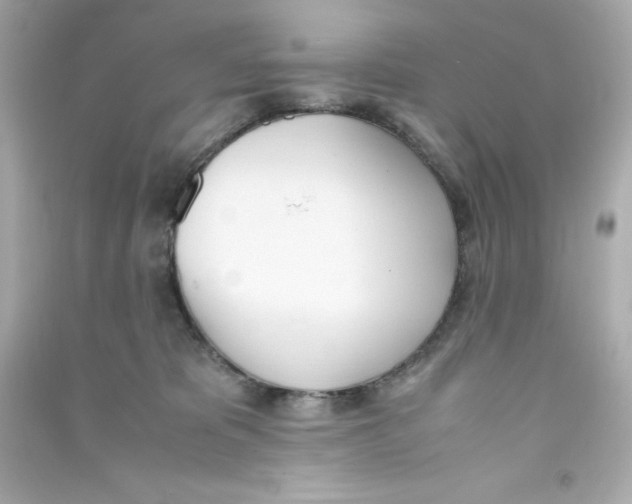 X0000090410325200708101925