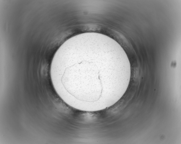 X0000090410326200708101925