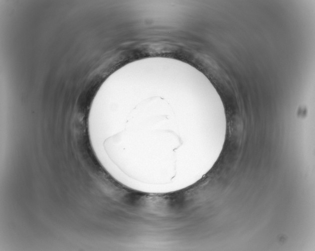 X0000090410327200708101925