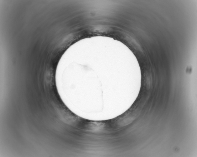 X0000090410328200708101925