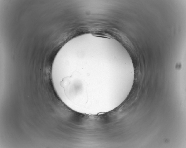 X0000090410329200708101925