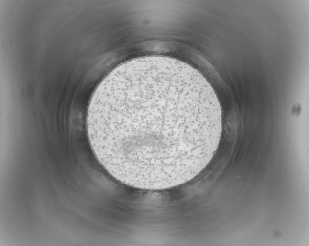 X0000090410330200708101925