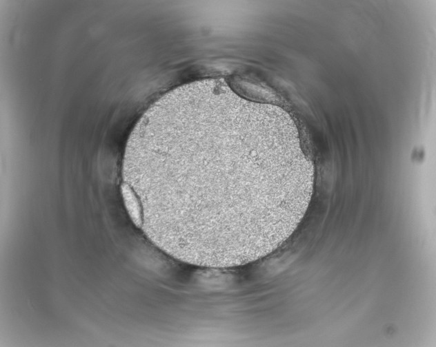 X0000090410331200708101925