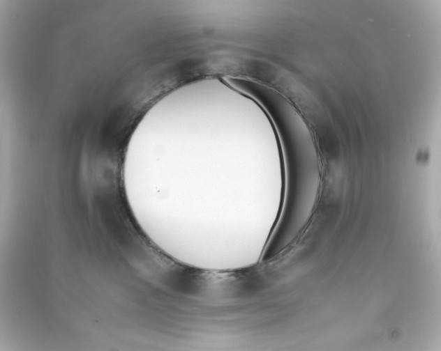 X0000090410333200708101925