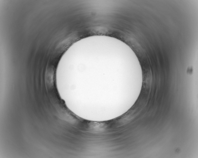 X0000090410334200708101925