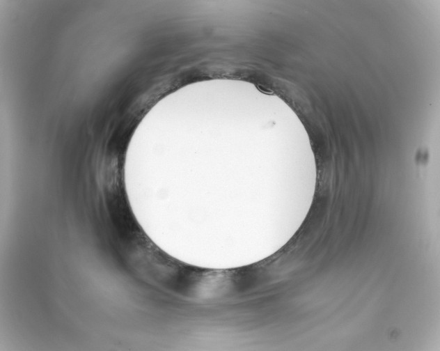 X0000090410335200708101925