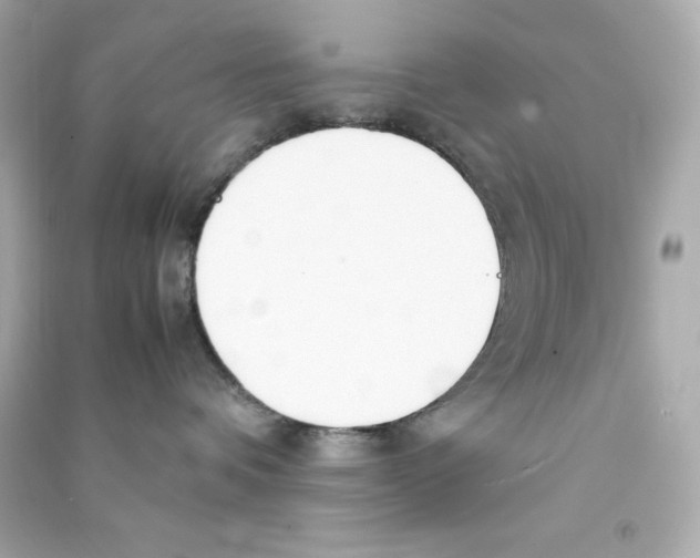 X0000090410336200708101925