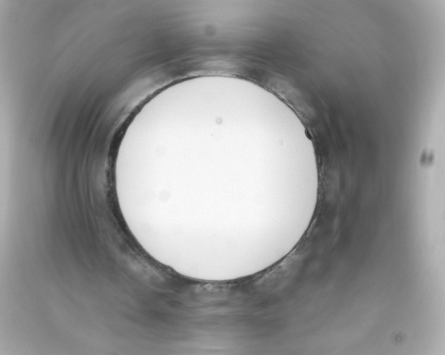 X0000090410338200708101924