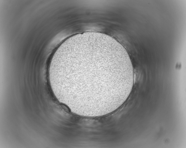 X0000090410339200708101924