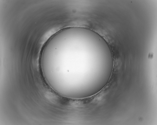 X0000090410340200708101924