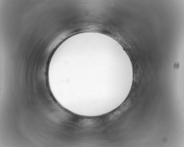 X0000090410341200708101924