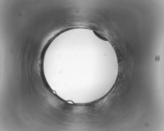 X0000090410342200708101924