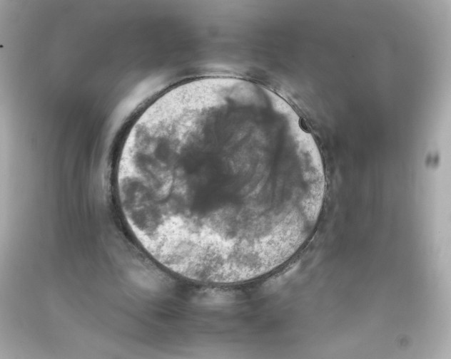 X0000090410343200708101924