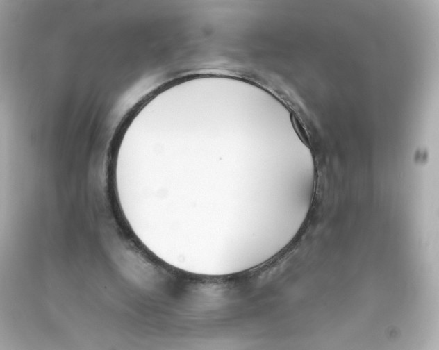 X0000090410344200708101924