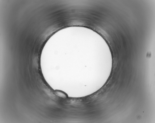 X0000090410345200708101924
