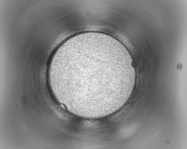 X0000090410346200708101924