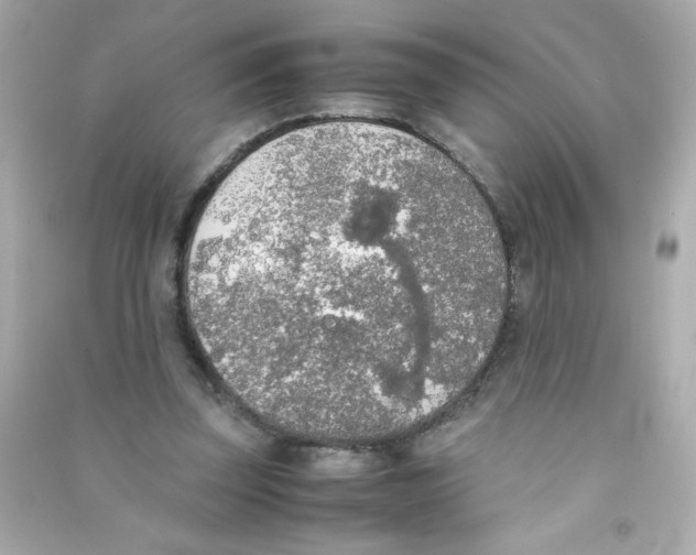 X0000090410347200708101925