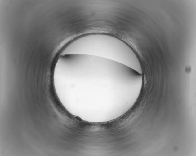 X0000090410348200708101925