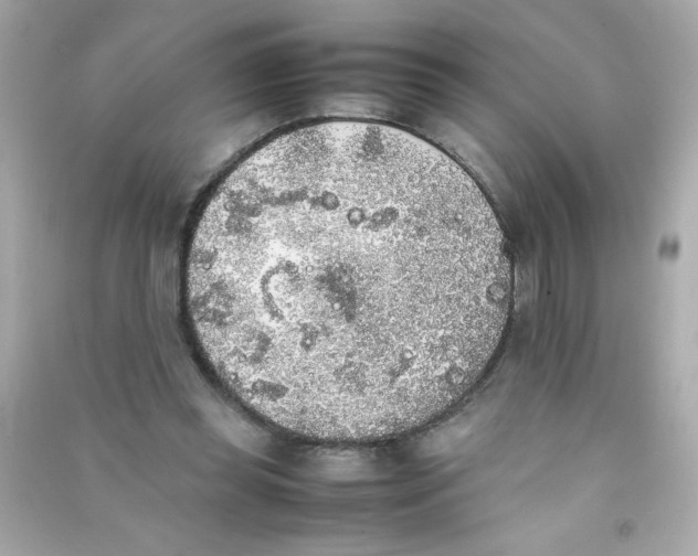 X0000090410349200708101925