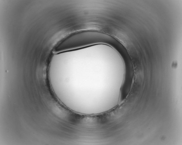 X0000090410350200708101925