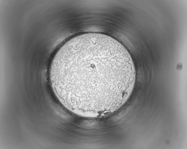 X0000090410351200708101925