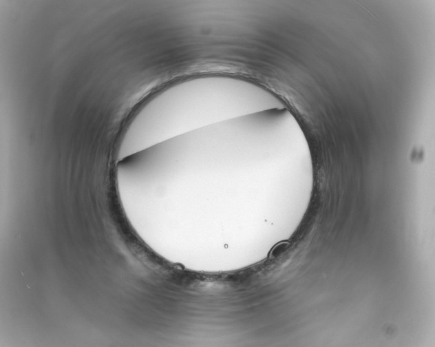 X0000090410352200708101925