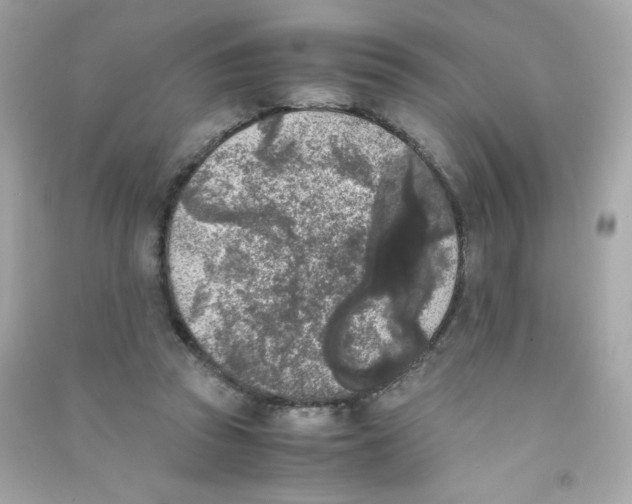 X0000090410353200708101925