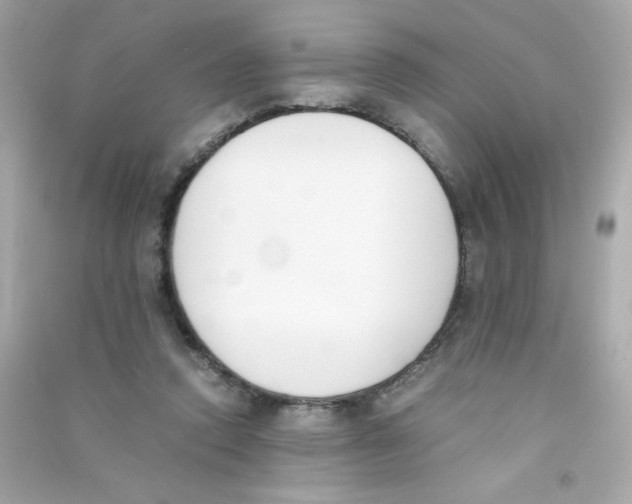 X0000090410354200708101925