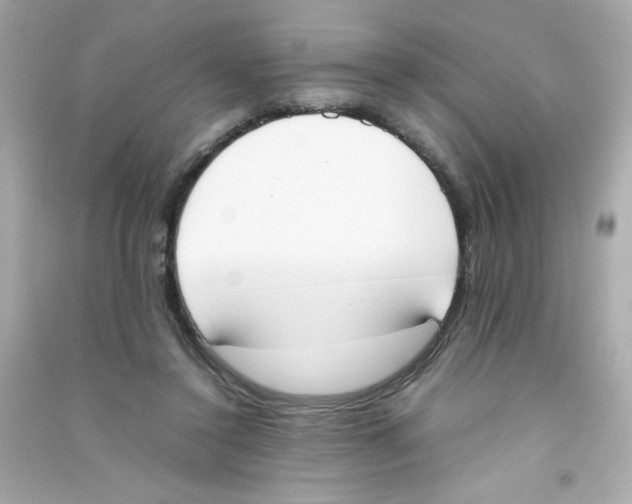 X0000090410356200708101925