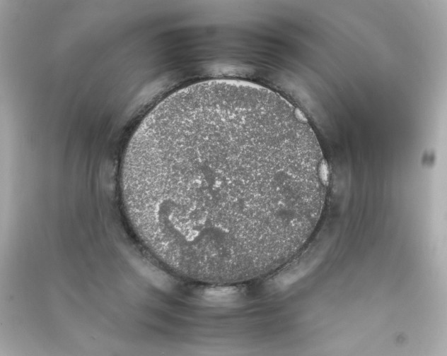 X0000090410357200708101925