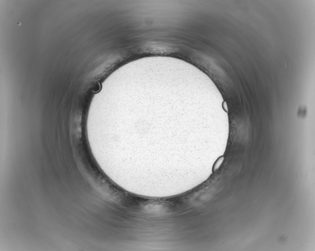 X0000090410358200708101925