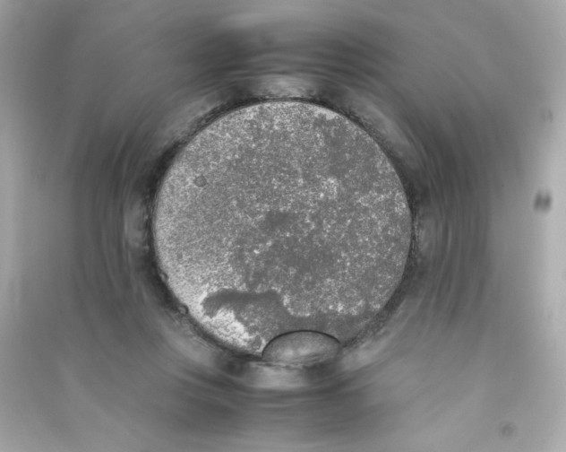 X0000090410359200708101925