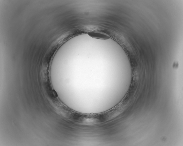 X0000090410360200708101925