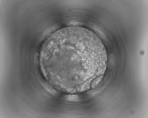 X0000090410361200708101925