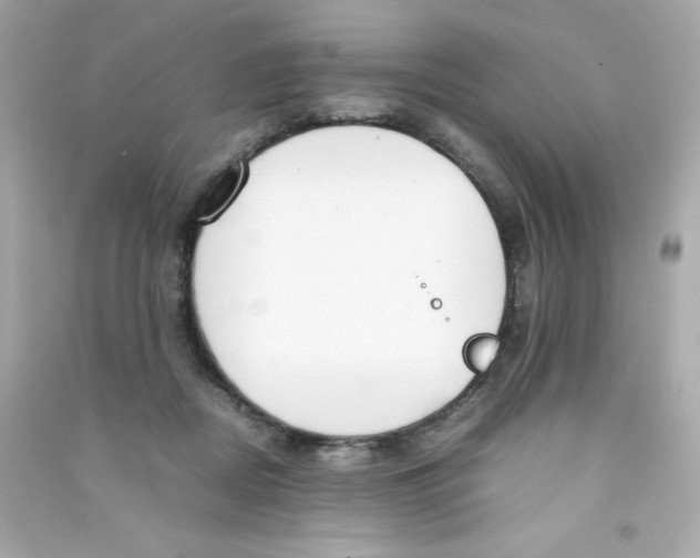 X0000090410362200708101925