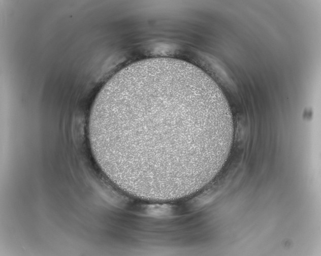 X0000090410363200708101925