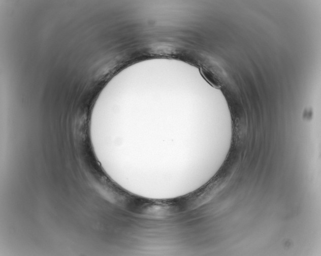 X0000090410364200708101925