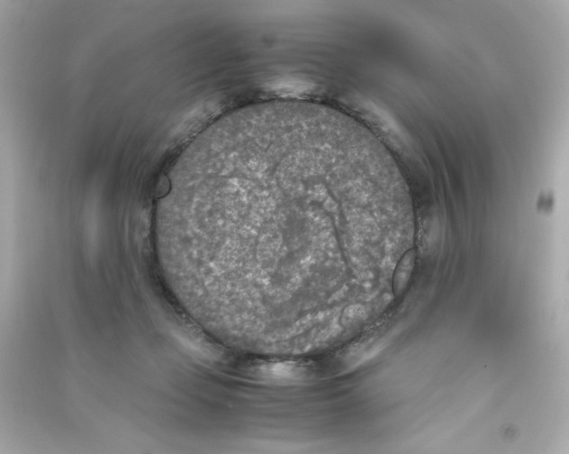 X0000090410365200708101925