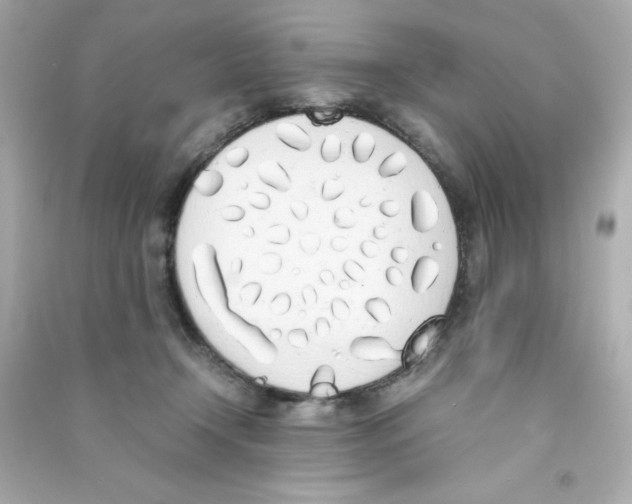 X0000090410366200708101925