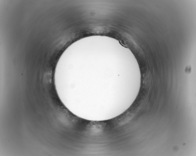 X0000090410368200708101925