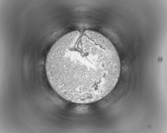 X0000090410369200708101925