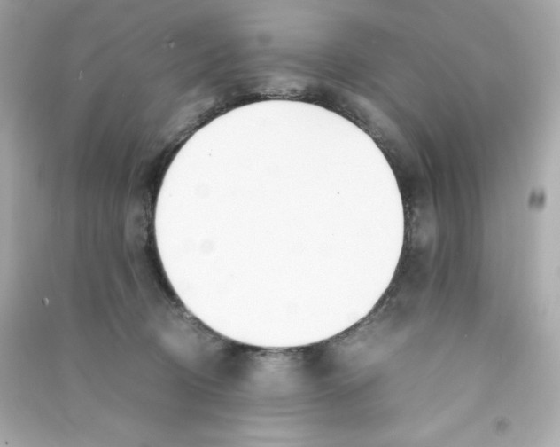 X0000090410370200708101925