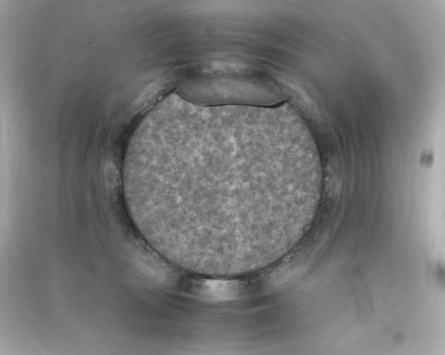 X0000090410371200708101925