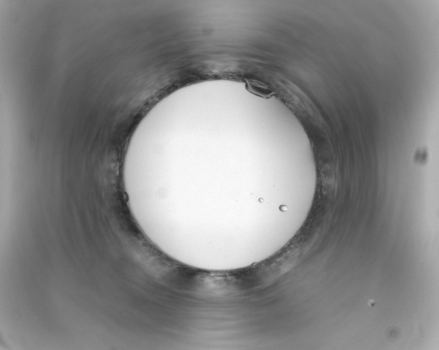 X0000090410372200708101925