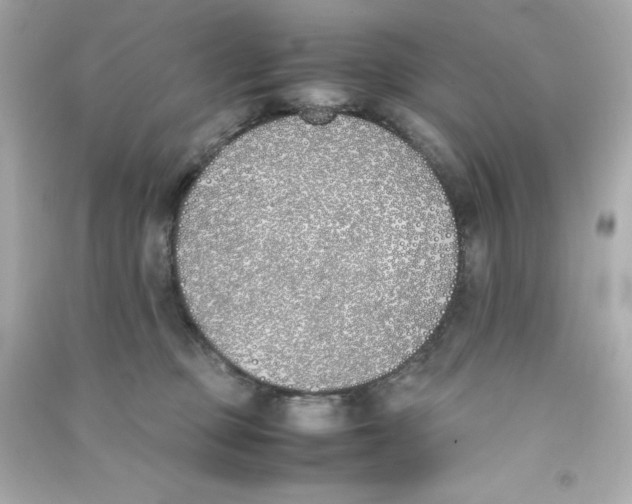 X0000090410373200708101925