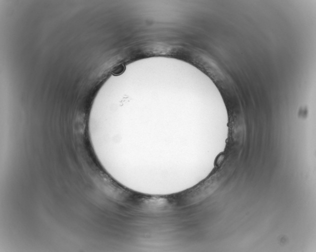 X0000090410374200708101925