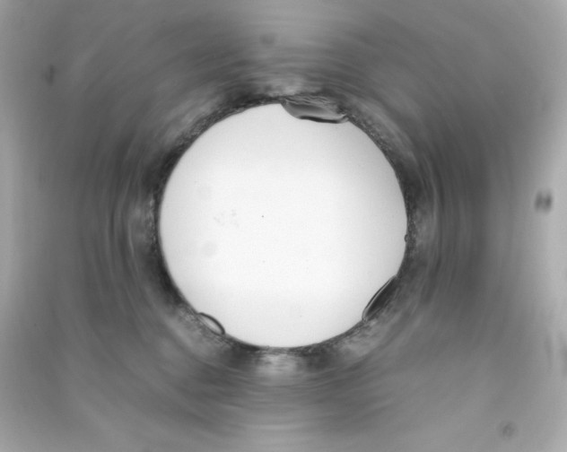 X0000090410376200708101925