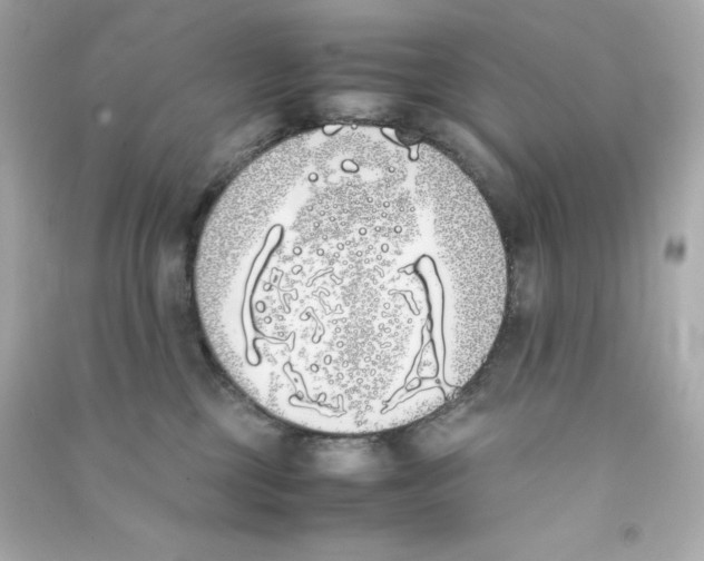 X0000090410377200708101925