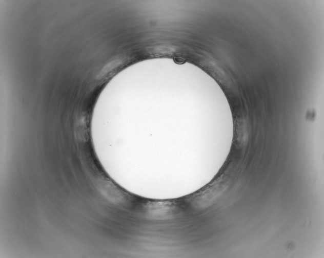 X0000090410378200708101925