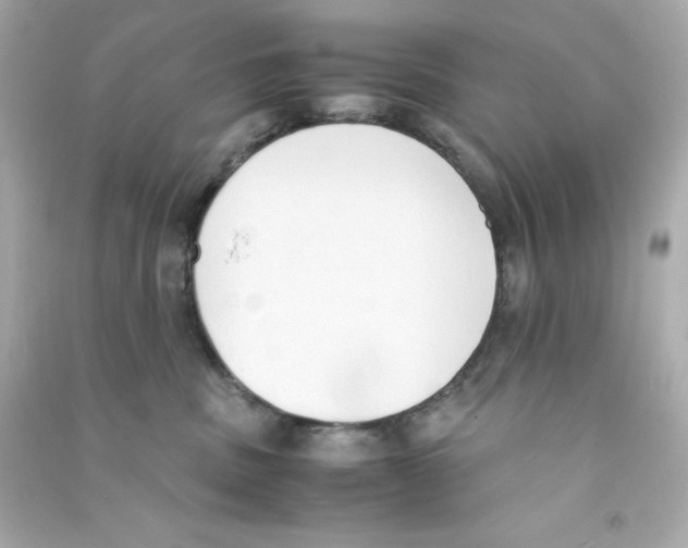 X0000090410379200708101925